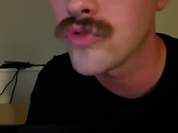 phillupdaily live webcam
