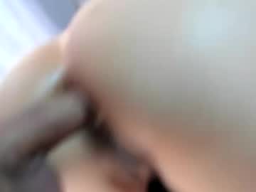 venusandzeus live webcam